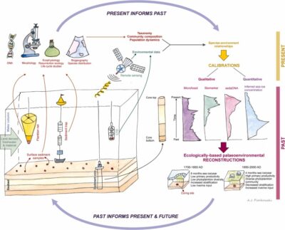 Referat_Anna_Pienkowski